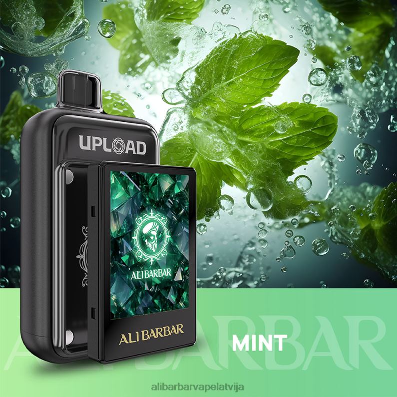 Alibarbar Shop - Alibarbar augšupielādēt piparmētra B2880117
