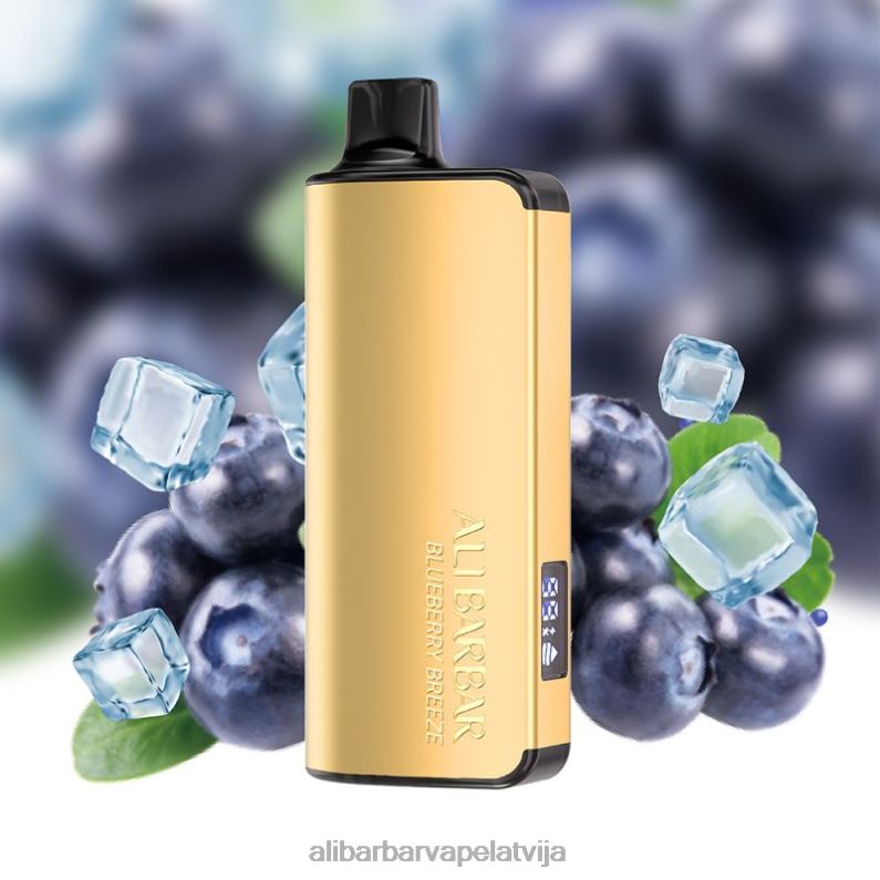 Alibarbar Shop - Alibarbar Ingot 20000 vienreizējās lietošanas vape melleņu brīze B288032