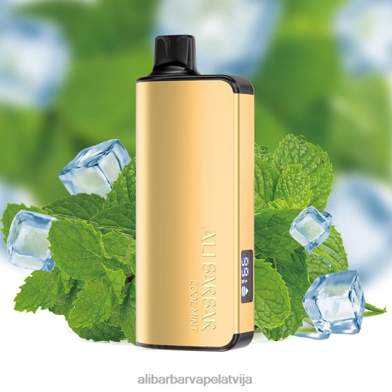 Alibarbar Vape Price - Alibarbar Ingot 20000 vienreizējās lietošanas vape forša piparmētra B288035