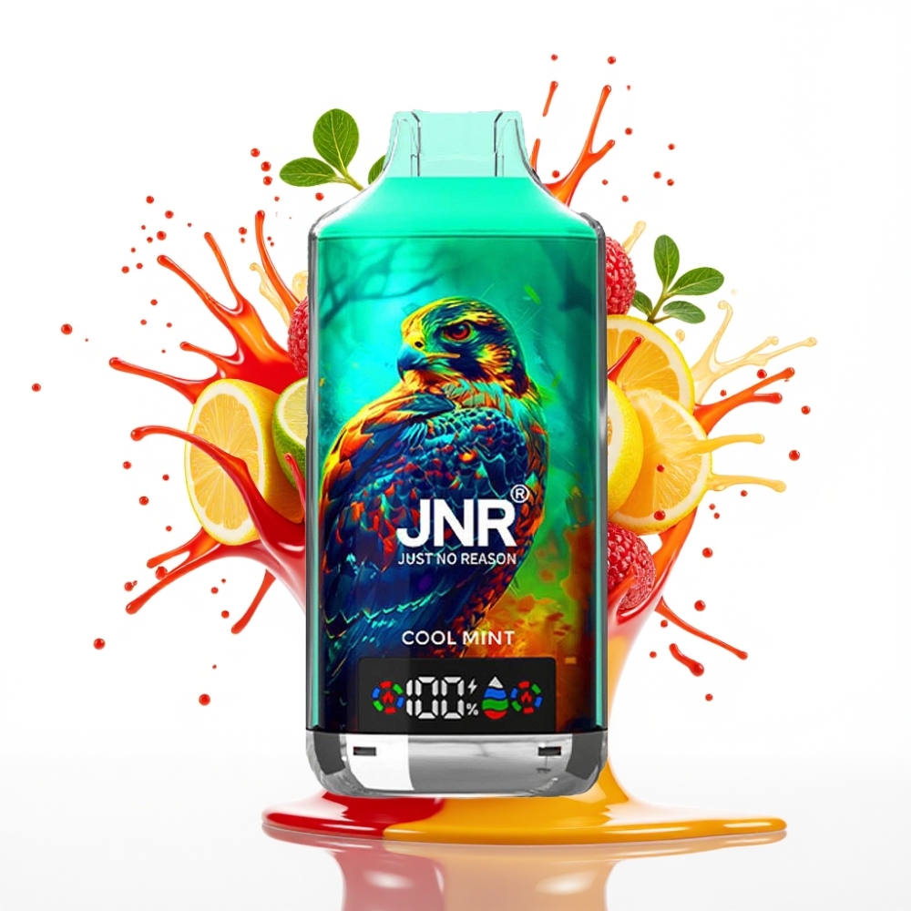 JNR Falcon X 18000 Puffs Disposable Vape Atdzīvinojošā Mētra, 750mAh, 24ml, Digitālais Displejs, Type-C Uzlāde