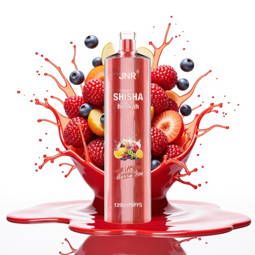 JNR Shisha Hookah 12000 Puffs Disposable Vape Ogļu Bērzu Ledus 24ml 750mAh Type-C